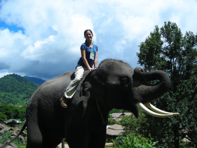 Thailand Elephant Camp Chiang Mai Riding